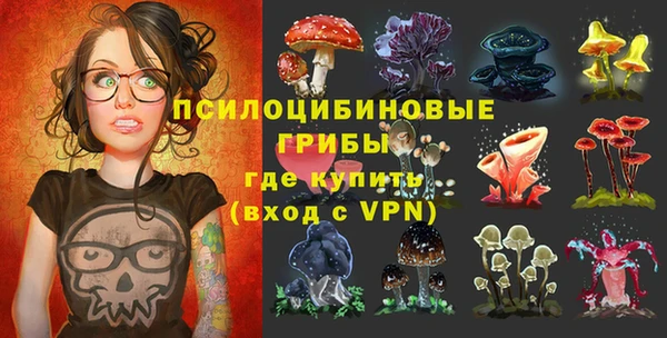 бошки Бородино