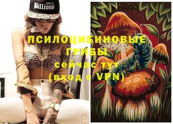 стаф Бронницы