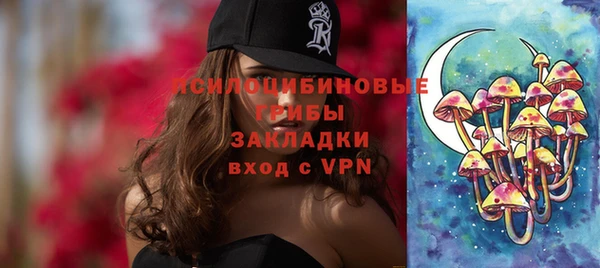 стаф Бронницы
