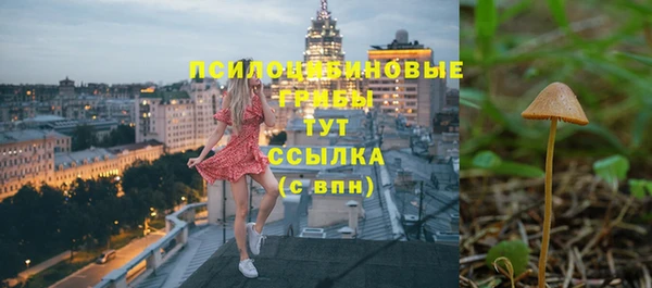 apvp Бугульма