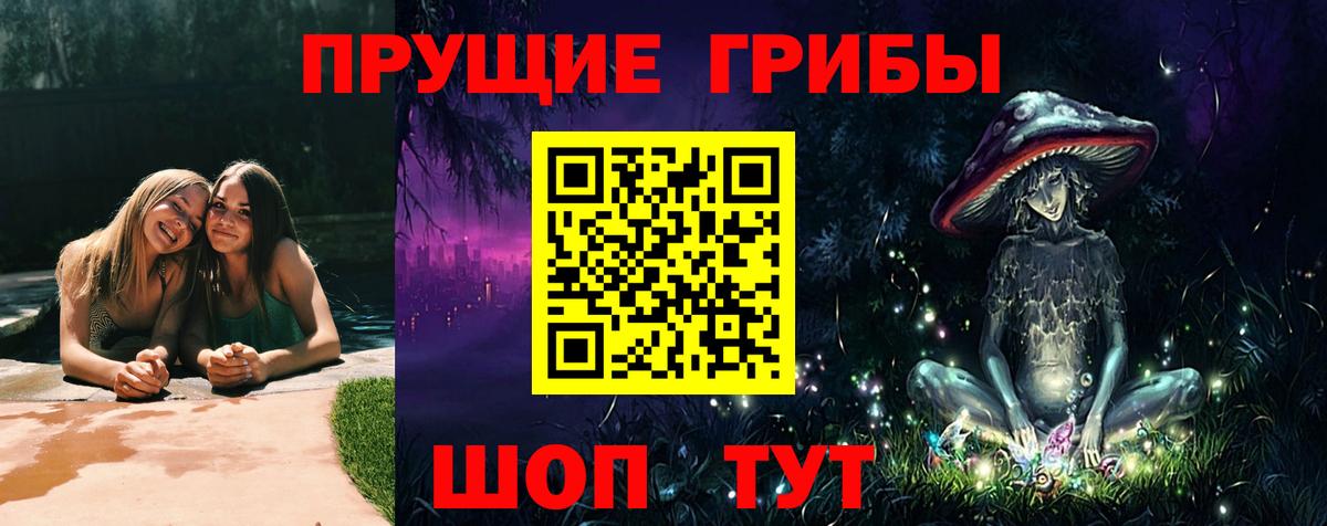 Галлюциногенные грибы Psilocybe Северск